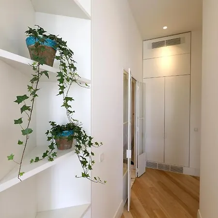 Flh Sa Da Bandeira Luxury Appartement *