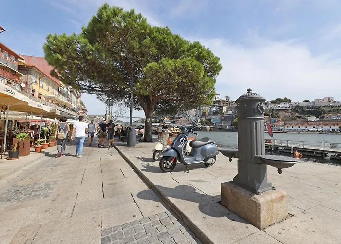 Flh Sa Da Bandeira Luxury Daire Porto